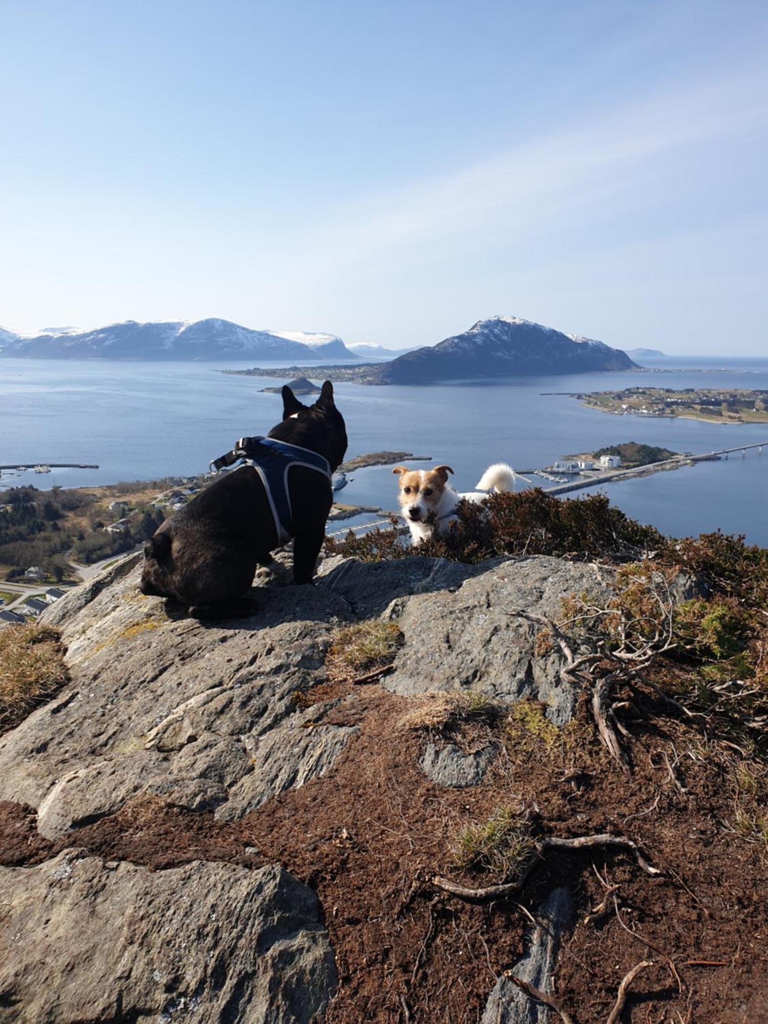 Naer Flyplass Og Alesund Sentrum